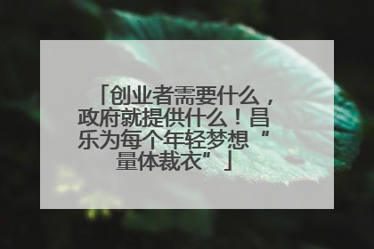 创业者需要什么，政府就提供什么！昌乐为每个年轻梦想“量体裁衣”