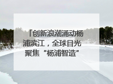 创新浪潮涌动杨浦滨江，全球目光聚焦“杨浦智造”｜相约复兴岛