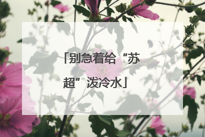 别急着给“苏超”泼冷水