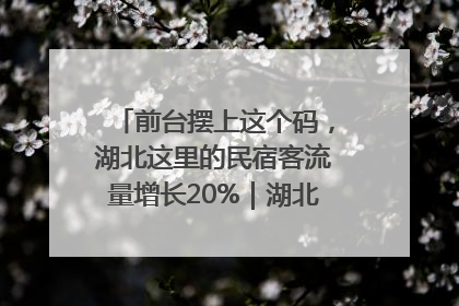 前台摆上这个码，湖北这里的民宿客流量增长20%｜湖北市场监管所的故事
