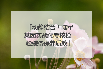 动静结合！陆军某团实战化考核检验装备保养质效