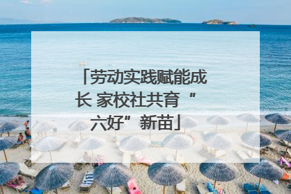 劳动实践赋能成长 家校社共育“六好”新苗