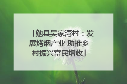 勉县吴家湾村：发展烤烟产业 助推乡村振兴富民增收
