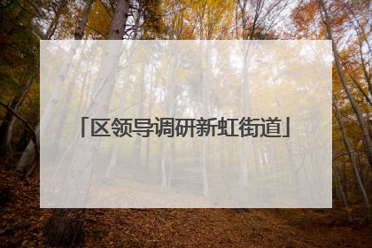 区领导调研新虹街道