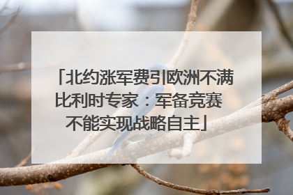 北约涨军费引欧洲不满 比利时专家：军备竞赛不能实现战略自主