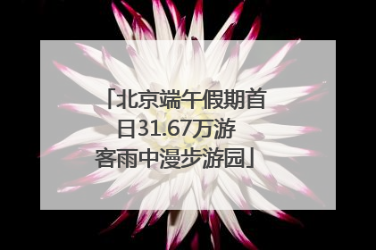 北京端午假期首日31.67万游客雨中漫步游园