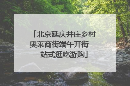 北京延庆井庄乡村奥莱商街端午开街 一站式逛吃游购