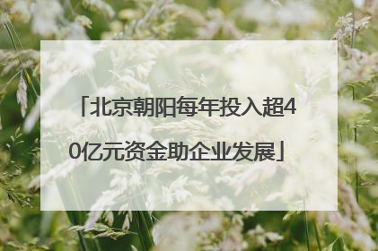 北京朝阳每年投入超40亿元资金助企业发展