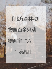 北方森林动物园百余只动物萌宝“六一”亮相
