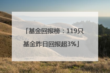 基金回报榜：119只基金昨日回报超3%