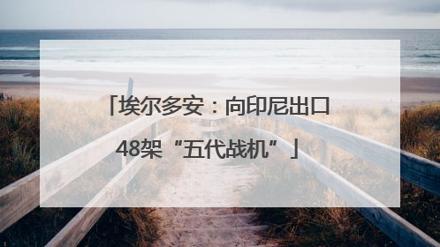 埃尔多安：向印尼出口48架“五代战机”