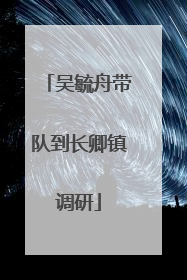 吴毓舟带队到长卿镇调研
