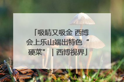吸睛又吸金 西博会上乐山端出特色“硬菜”｜西博视界