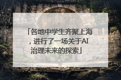 各地中学生齐聚上海，进行了一场关于AI治理未来的探索
