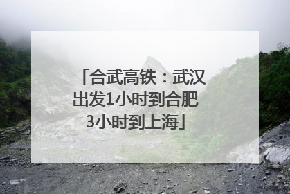 合武高铁：武汉出发1小时到合肥3小时到上海