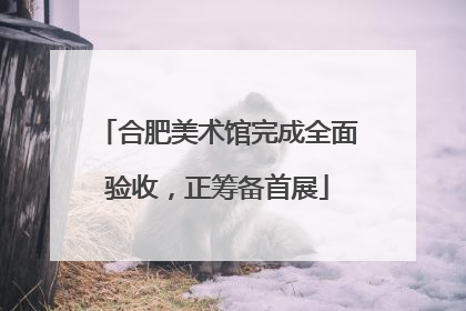 合肥美术馆完成全面验收，正筹备首展
