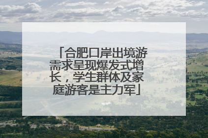 合肥口岸出境游需求呈现爆发式增长，学生群体及家庭游客是主力军