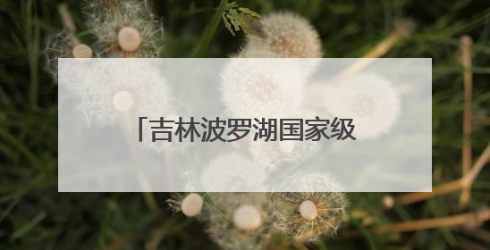 吉林波罗湖国家级自然保护区生态修复成效显著，珍稀鸟类10年增加5倍