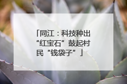 同江：科技种出“红宝石”鼓起村民“钱袋子”