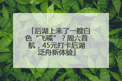 后湖上来了一艘白色“飞碟”？周六首航，45元打卡后湖泛舟新体验