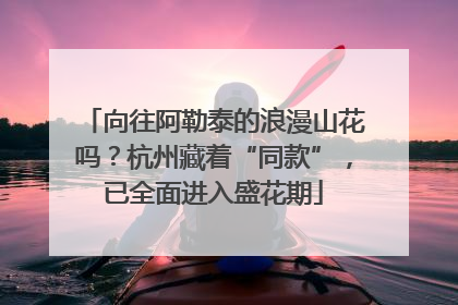 向往阿勒泰的浪漫山花吗？杭州藏着“同款”，已全面进入盛花期