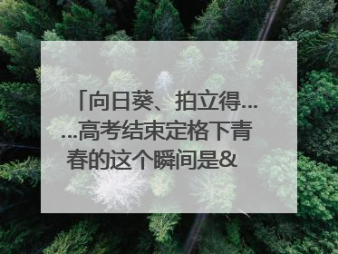 向日葵、拍立得……高考结束定格下青春的这个瞬间是& 8594;｜2025四川高考