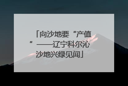 向沙地要“产值”——辽宁科尔沁沙地兴绿见闻