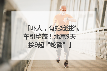 吓人，有蛇藏进汽车引擎盖！北京9天接9起“蛇警”