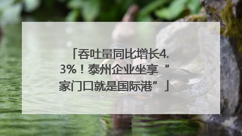 吞吐量同比增长4.3%！泰州企业坐享“家门口就是国际港”