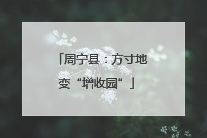 周宁县：方寸地变“增收园”
