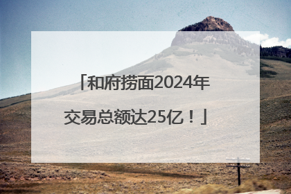 和府捞面2024年交易总额达25亿！