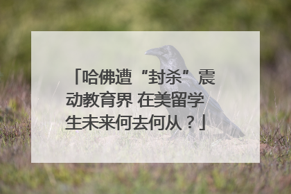 哈佛遭“封杀”震动教育界 在美留学生未来何去何从？