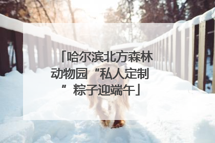 哈尔滨北方森林动物园“私人定制”粽子迎端午