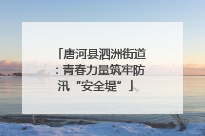 唐河县泗洲街道：青春力量筑牢防汛“安全堤”