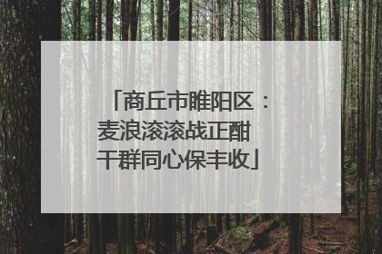 商丘市睢阳区：麦浪滚滚战正酣 干群同心保丰收