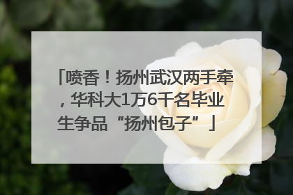 喷香！扬州武汉两手牵，华科大1万6千名毕业生争品“扬州包子”