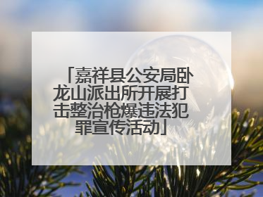 嘉祥县公安局卧龙山派出所开展打击整治枪爆违法犯罪宣传活动