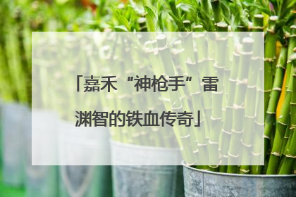 嘉禾“神枪手”雷渊智的铁血传奇