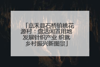 嘉禾县石桥镇桃花源村：盘活闲置用地发展针织产业 织就乡村振兴新图景