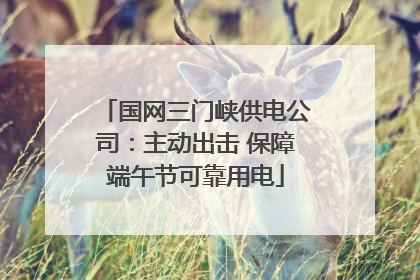 国网三门峡供电公司：主动出击 保障端午节可靠用电