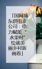 国网城东供电支公司：电力赋能“水果村” 绘就美丽乡村新画卷