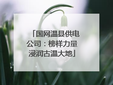 国网温县供电公司：榜样力量浸润古温大地