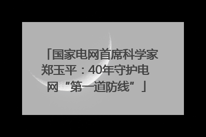 国家电网首席科学家郑玉平：40年守护电网“第一道防线”