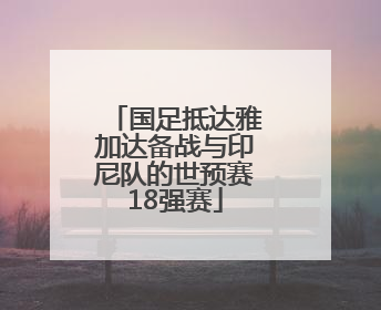 国足抵达雅加达备战与印尼队的世预赛18强赛