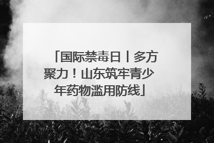 国际禁毒日丨多方聚力！山东筑牢青少年药物滥用防线