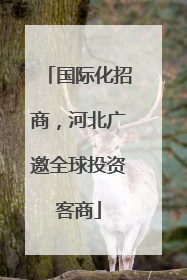 国际化招商，河北广邀全球投资客商