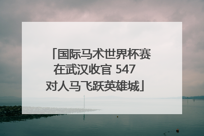 国际马术世界杯赛在武汉收官 547对人马飞跃英雄城