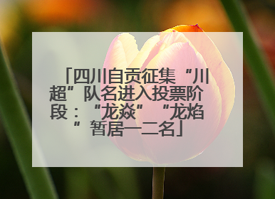 四川自贡征集“川超”队名进入投票阶段：“龙焱”“龙焰”暂居一二名