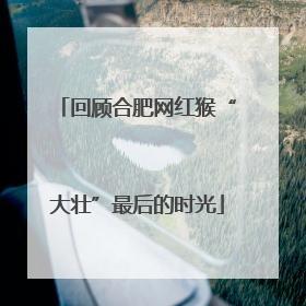 回顾合肥网红猴“大壮”最后的时光