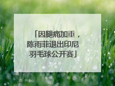 因腿痛加重，陈雨菲退出印尼羽毛球公开赛